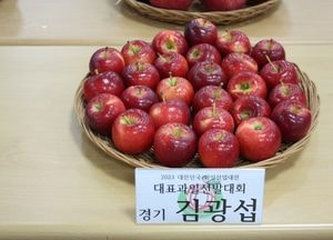 우수상 수상 '포천 루비에스 사과, 대한민국 최대 과일박람회서 3일간 전시'