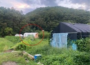 '귀농인?' 시골 농막, 알고보니 불법성매매 광고사이트…'범죄수익 75억'
