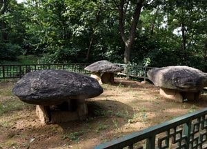 파주시, 교육부에 고인돌 수록 건의…초·중·고교 교과서에 ‘덕은리 고인돌’