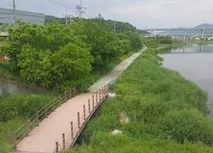 이상일 용인시장 “市·주민 규제 해제 노력 매도”  VS  장정순 시의원 “난개발 부추겨”