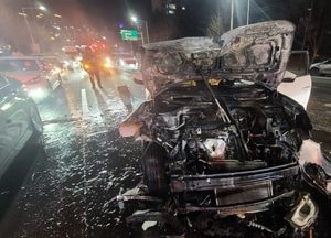 음주차량 단독사고로 화재, 운전자 체포돼