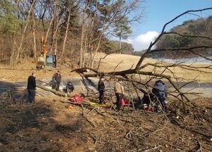 여주 강천 골프장서 벌목 중이던 60대 나무에 깔려 숨져