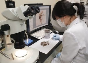 경기도, 10년간 말라리아 환자 5200명 발생...6~8월에 60% 집중