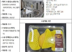 식약처, 잔류농약 기준 초과 검출 수입 '망고' 회수 조치