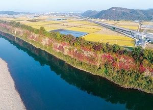경기도, 연천·포천~철원까지 약 120㎞ 주상절리길 만든다...국비포함 1090억원 투입