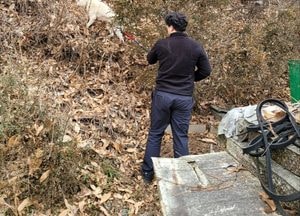하남 춘궁동 주택가서 묵줄 풀린 개 무사히 구조