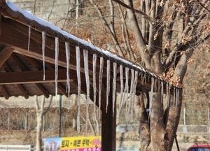27개 시·군에 한파주의보, 안산·시흥 등 5개 지역엔 강풍 예비특보...경기도, 비상1단계 가동