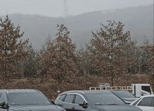 ‘눈’ 내리는 휴게소