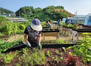 남양주시, 2024 커뮤니티 가든 ‘도시 텃밭’ 분양...26일~다음 달 4일까지 온라인 신청