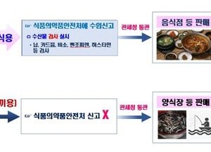 식약처, 멕시코산 비식용 수입 냉동멸치 식용으로 속여 판 수산물 유통업체 적발