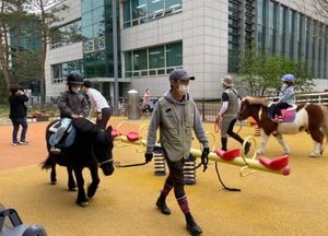 경기도, ‘만져보고 타보고’ 동물과 함께 교감하는 어린이 말체험 추진