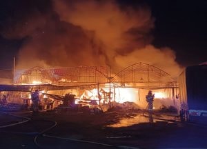 부천 대장동 비닐하우스서 한밤 중 불, 6600만원 재산피해