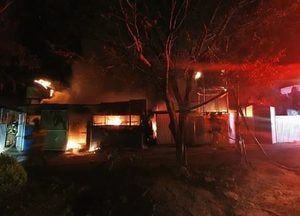 양평 개군면 돈사서 새벽 불, 돼지 440마리 폐사