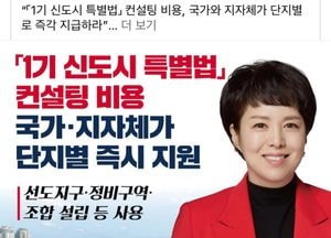김은혜 "'1기신도시 특별법' 컨설팅 비용, 국가와 지자체가 단지별로 즉각 지급하라"