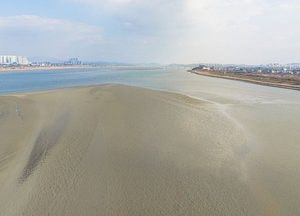 하상 준설 중단 13년…김포 어민들, 한강하구 준설 건의