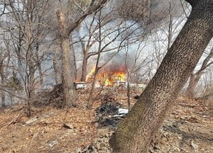 성남시 수정구서 산불...진화 중