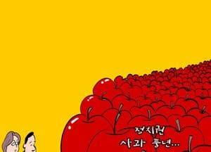 사과가 이렇게 많은데 왜 비쌀까요?!