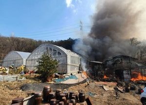 군포 둔대동서 산불...헬기 5대 동원, 1시간26분 만에 진화