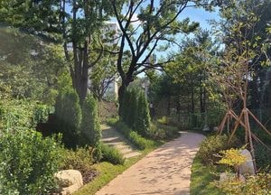 경기도, 471억 투입해 연천군 가로숲길 등 생활환경숲 181곳 조성