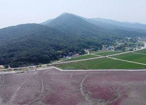 인천광역시, 751개교에 ‘무농약 쌀’ 3500톤 공급..월 1회 이상 잔류농약 검사 실시