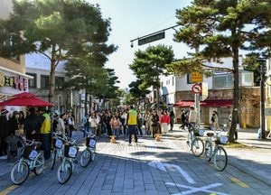 수원시, 4~11월 ‘새빛 생태교통+ 뉴노멀! 자동차 없는 날’ 운영