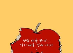 편법 대출 반성...사기 대출 절대 아님!