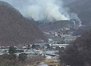 광주시 초월읍서 산불...진화 중