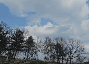 [영상] 절기상 ‘청명’ 하늘