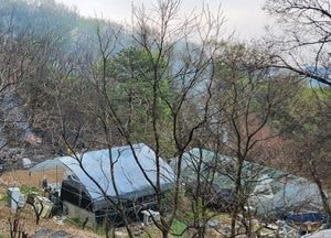 분당 판교동서 산불... 1시간 32분 만에 진화