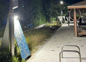 남양주시, 동양하루살이 ‘대거 출몰’ 선제적 방제 나서