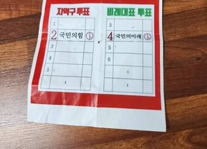 하남갑 더불어민주당 추미애 선거캠프, 불법 인쇄물 선관위에 신고