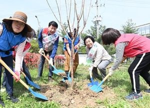 인천 부평구, 식목일 나무심기 행사…총 2200주 식재