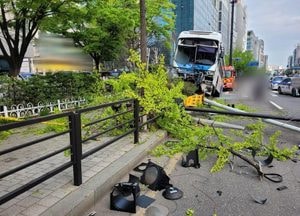 고양서 시내버스가 신호등·가로등 들이받는 사고...운전자·승객 6명 부상