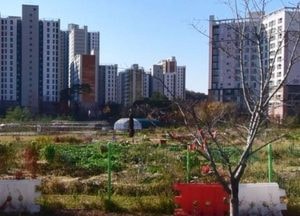 김포 장기·운양중학군 과밀학급 문제 해소 '길 열려'