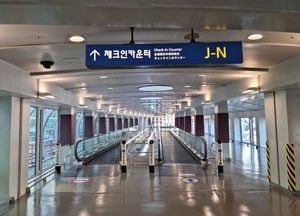 인천공항서 9만달러 돈가방 빼앗아 달아난 중국인 1명 구속