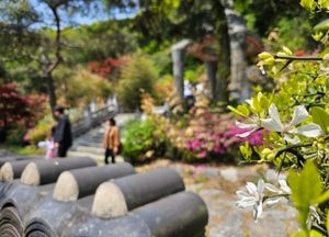 [내일 날씨] 경기·인천(2일, 목)...일교차 크고 맑은 날씨, 광주엔 '건조주의보'