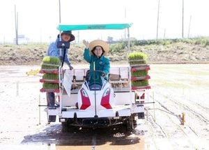 모내기 참석 “김보라 안성시장, 풍년을 기원합니다”