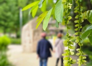 [공감, 세상구경] 100세 시대의 부부의 날