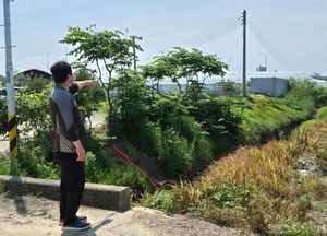 김포시 도사천 정비사업 두고 "스마트팜 딸기 농장주, 한숨"