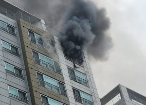 수원 권선동 아파트서 불, 인명피해 없어