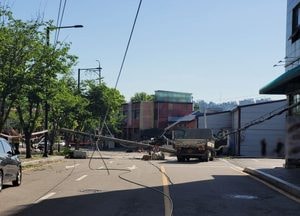 일산동구, 트럭이 전신주 충돌사고...80대 여성 보행자와 50대 운전자 부상