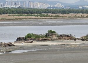 기록으로 남아있던 김포 '독도' 지리정보원 도서 등재