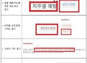 “일반식품을 질병 예방·치료 식품으로” 식약처, 불법·부당광고 232건 적발