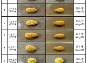 식약처, '가짜 발기부전치료제' 불법 제조·판매한 형제 적발