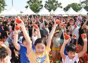 [기획] 체험·공연·먹거리까지...‘광주 퇴촌 토마토축제’ 신나게 즐기자