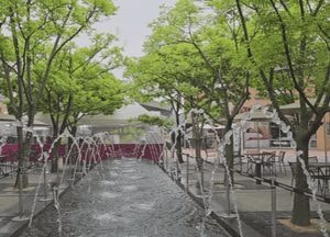 용인에 올해 첫 '폭염특보' 발효...경기도, 31개 시·군에 선제적 대응 당부