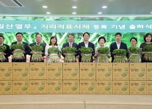 고양시 ‘일산열무 지리적표시제 등록’ 기념 출하식