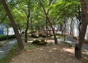 의정부시, 용현산업단지 인근 녹지에 '도심 속 산책길' 조성