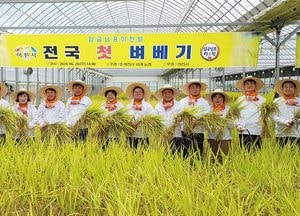 ‘임금님표 이천쌀’ 전국 첫 벼베기 행사...김경희 시장 “홍보·소비 촉진 최선”