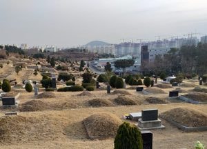 속도 내던 김포공원묘지 개발사업...잇단 송사에 ‘발목’
